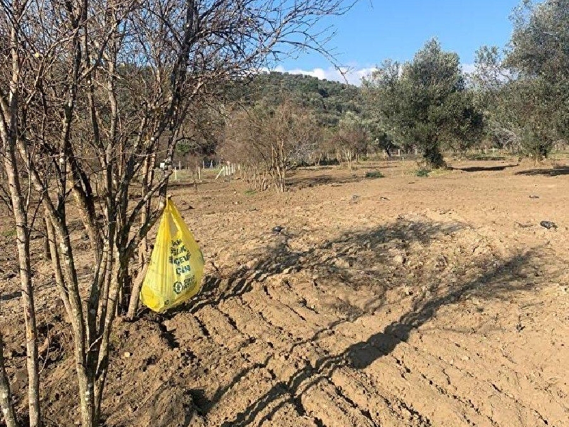Içerisinde zeytin mandalina ve nar ağacı bulunan bahçemiz satıliktır