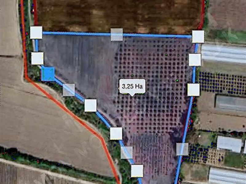 Seri̇k çandir pi̇narcik'da 35,587m2 uygun fi̇yatli tarla