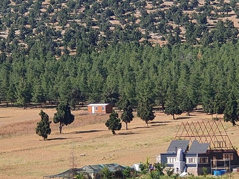 Antalya ,korkuteli̇ ,simandir'da yatirimlik satilik 6161m² ormanla i̇çi̇çe ,85 adet ağaç di̇ki̇li̇,tarla.