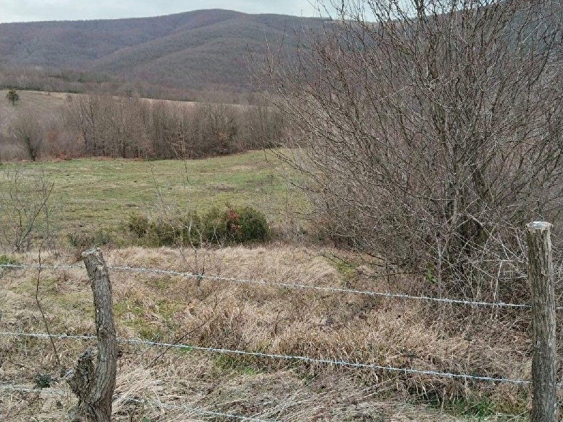 Esen-ce'den i̇zmi̇t arpalik/i̇hsani̇ye 'de 8300 m2 satilik tarla