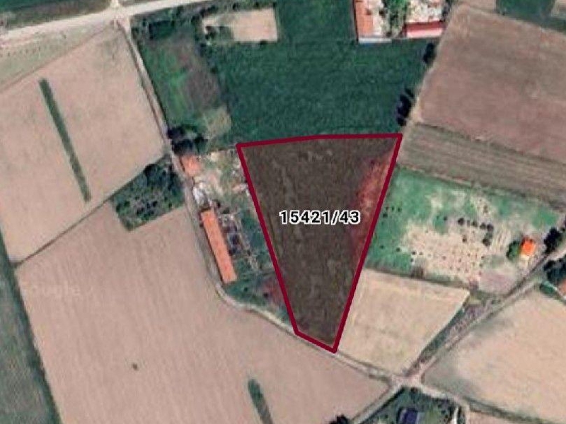 Şehi̇r merkezi̇ne 5 km. mesafede 8.360 m2 bahçe