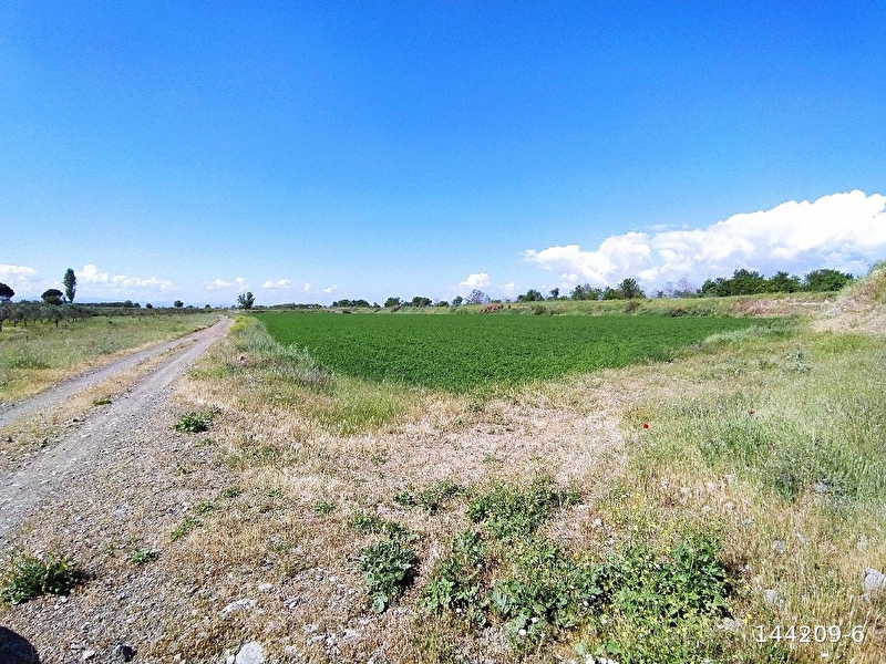 Bergama'ya ve köye yakın,tarıma uygun verimli arazi.