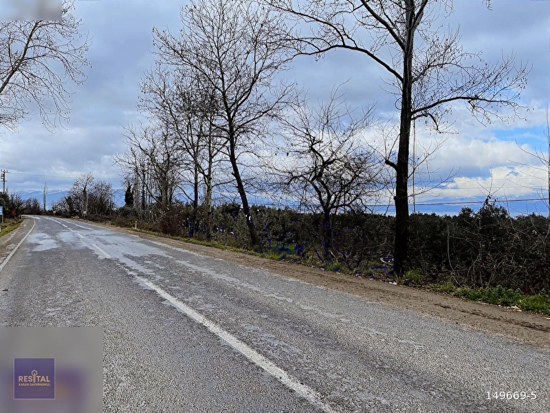Göl doğa manzarali i̇zni̇k asvaltina cephe arsa
