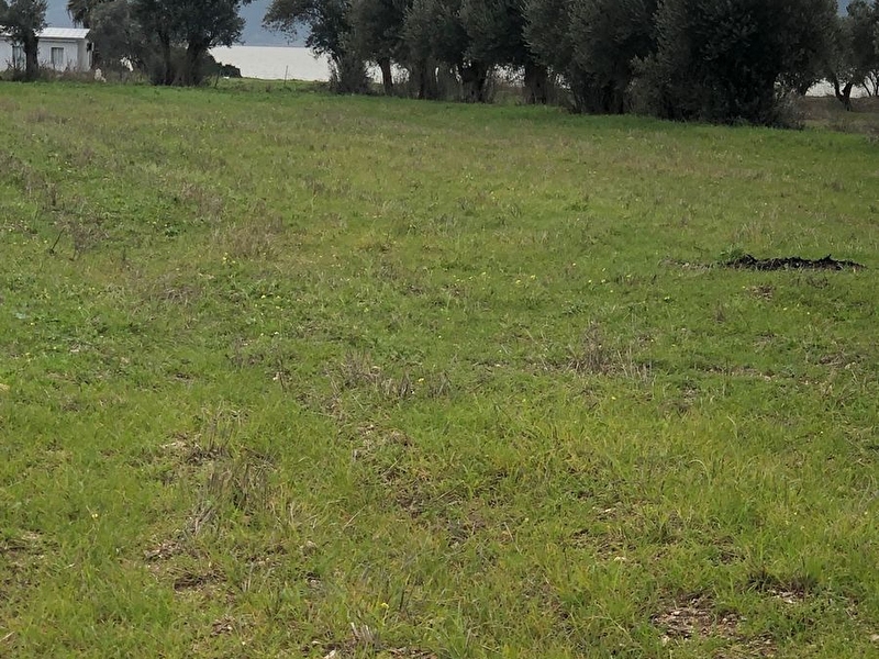 Özbektesatılık deniz  manzaralı tarla