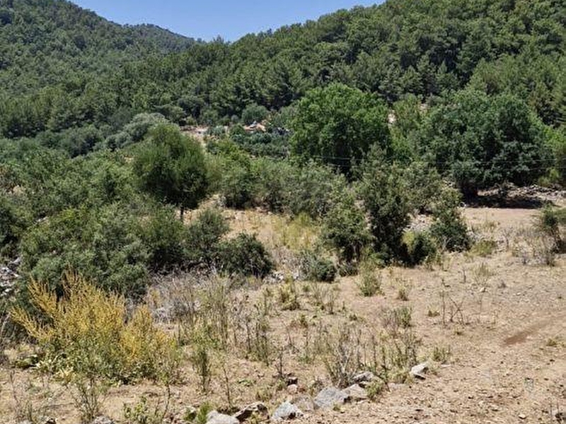 Ortaca emlak dünyasindan satilik  tarla