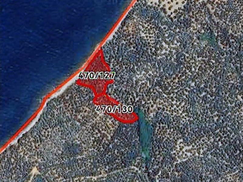 Balıkesir bandırma edincikte satılık zeytin bahçesi