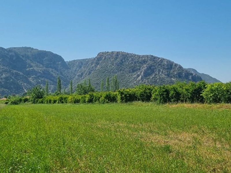 Nysa emlak’tan muğla ortaca eski̇köy mh 7.120 m2 satilik tarla