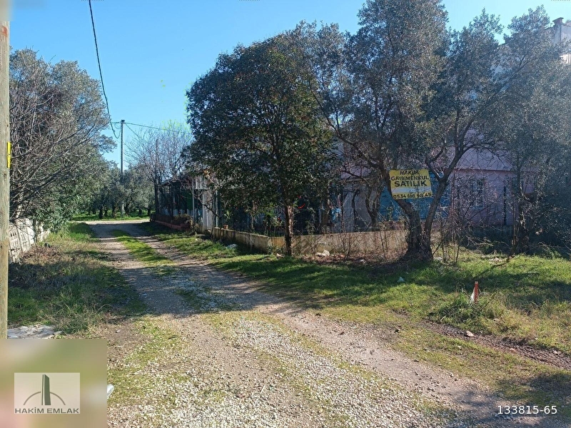 Satilik arsa kumsazda 183 m2 i̇marsiz