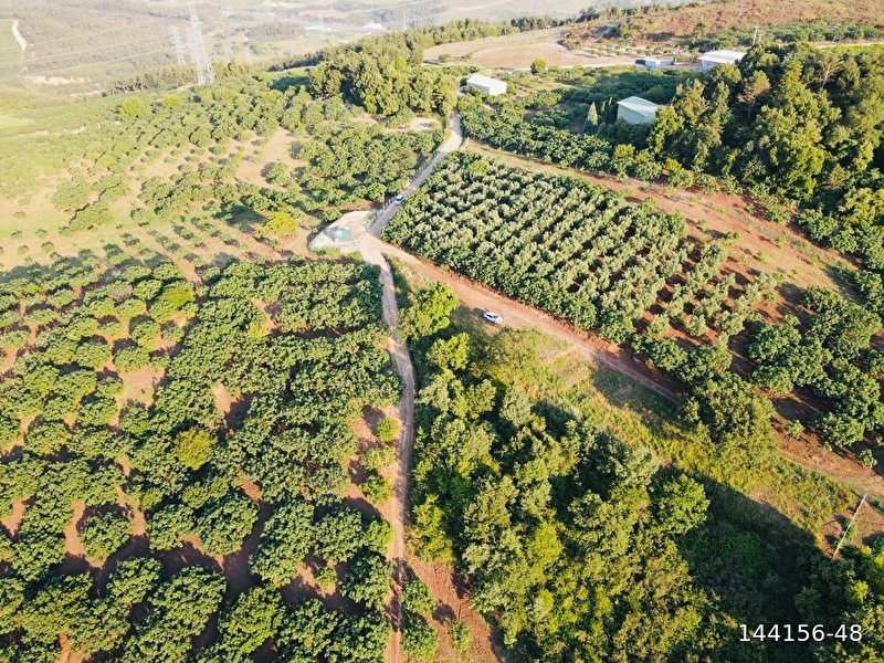 Gündoğdunun en güzel bölgesi̇nde 662 m2 kadastro yoluna cephe