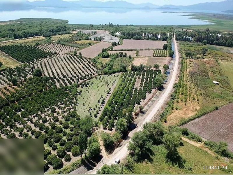Yüksekkum'dan köyceğiz'de göle yakın 2657 m2 bahçe satılık
