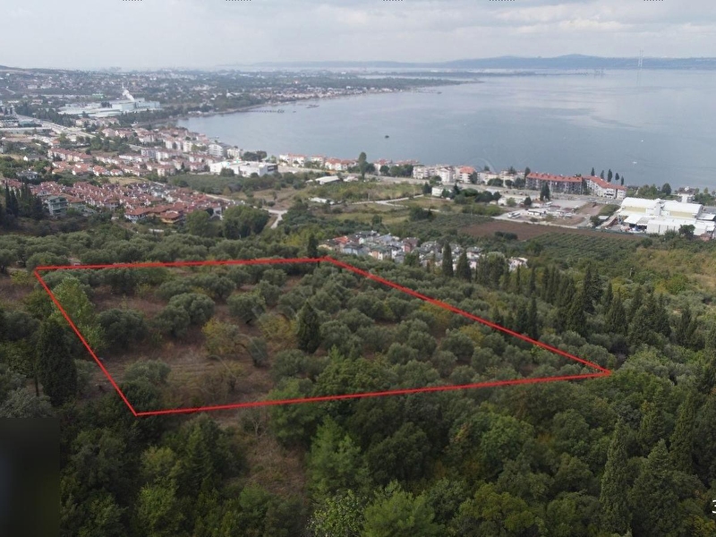 Özgür emlaktan satilik 6143m2 ada şekli̇nde arsa