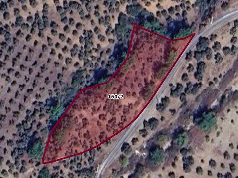 Fırsat torbalı karakızlar köyü cadde üzeri zeytinlik arazi
