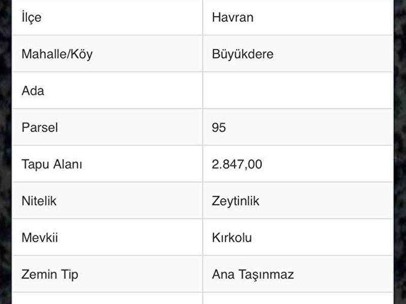 Havran büyükdere köyünde çi̇ft cepheye yolu olan  2800 metrekare zeyti̇nli̇k