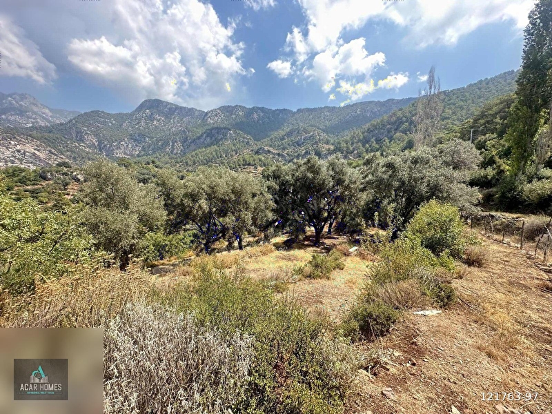 Fethi̇ye kelebekler vadi̇si̇ yamacinda 14486 m2 satilik