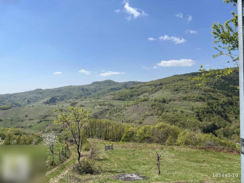 Meci̇di̇yede 3.338 m2 satilik tarla