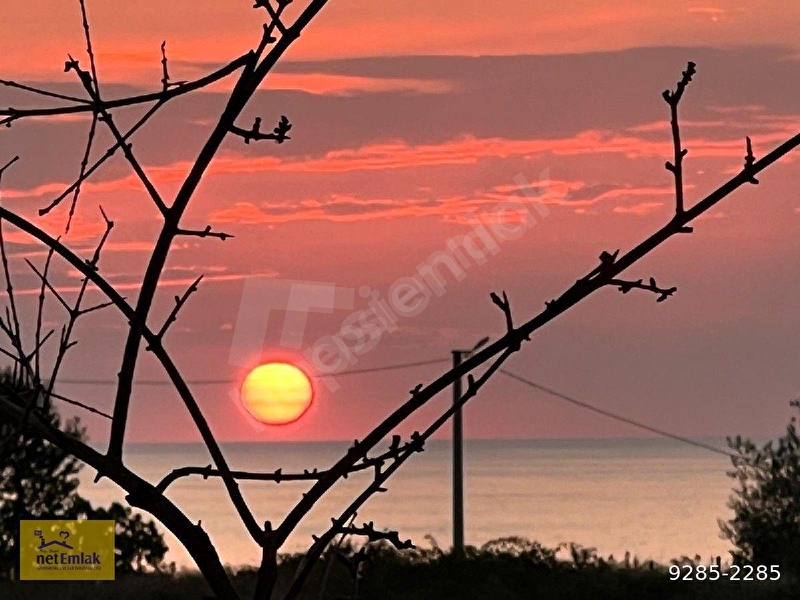 Kdz Ereğli Net Emlak Tan Şahane Konuma Sahip Akçakoca Da Site Daire