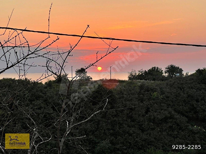 Kdz Ereğli Net Emlak Tan Şahane Konuma Sahip Akçakoca Da Site Daire