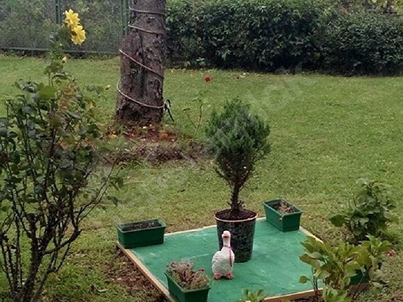 Kdz Ereğli Net Emlak Tan Şahane Konuma Sahip Akçakoca Da Site Daire