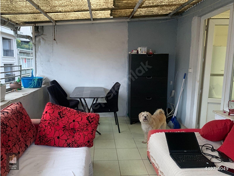 Tekin Emlak'tan Eşref Efendi Sokakta Çift Teraslı 1+1 Daire