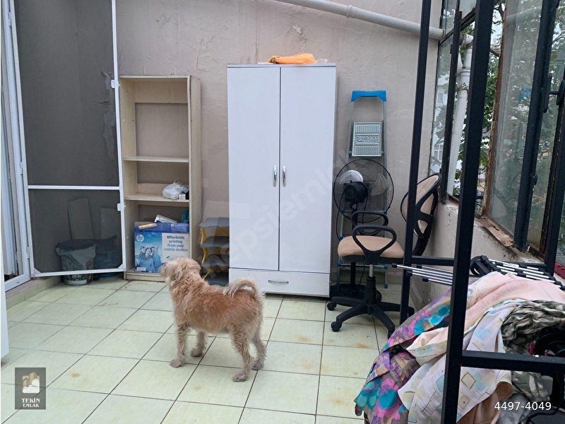 Tekin Emlak'tan Eşref Efendi Sokakta Çift Teraslı 1+1 Daire