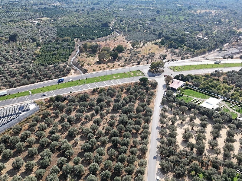 Havran çamdi̇bi̇ yol üzeri̇nde- ayvalik i̇zmi̇r kavşağina yakin efsane zeyti̇nli̇k