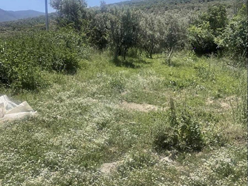 Harika göl manzaralı