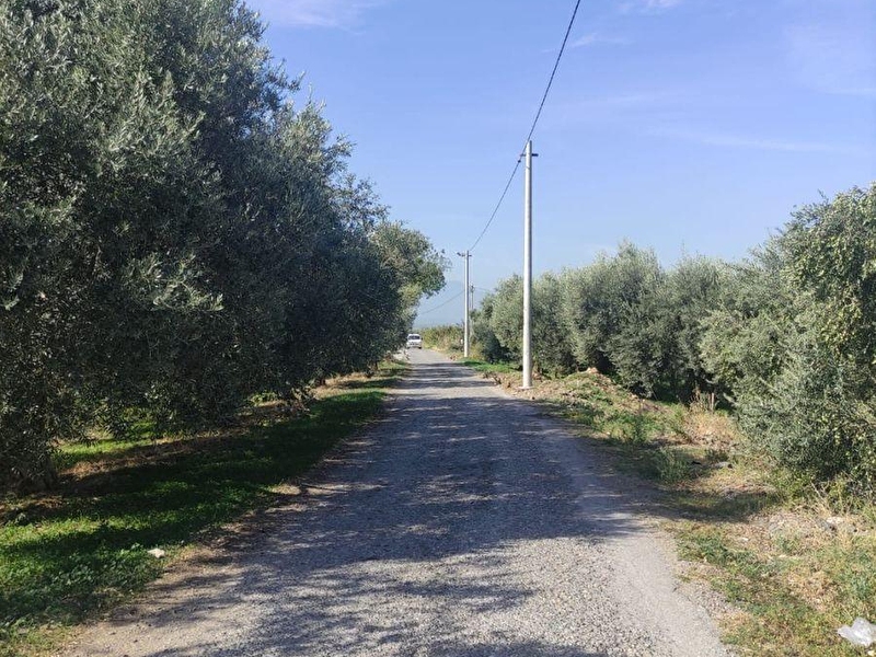 Turgutlu satilik bağ hali̇lbeyli̇ köyünde 8 dönüm yola sifir su var elektri̇k alinabi̇li̇r kendi̇ yolu var
