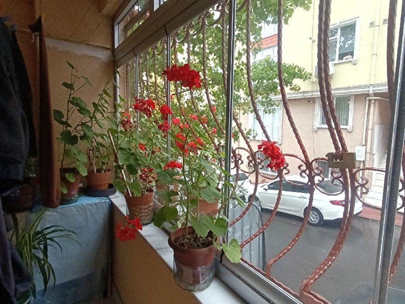 Halicioğlu satilik dai̇re