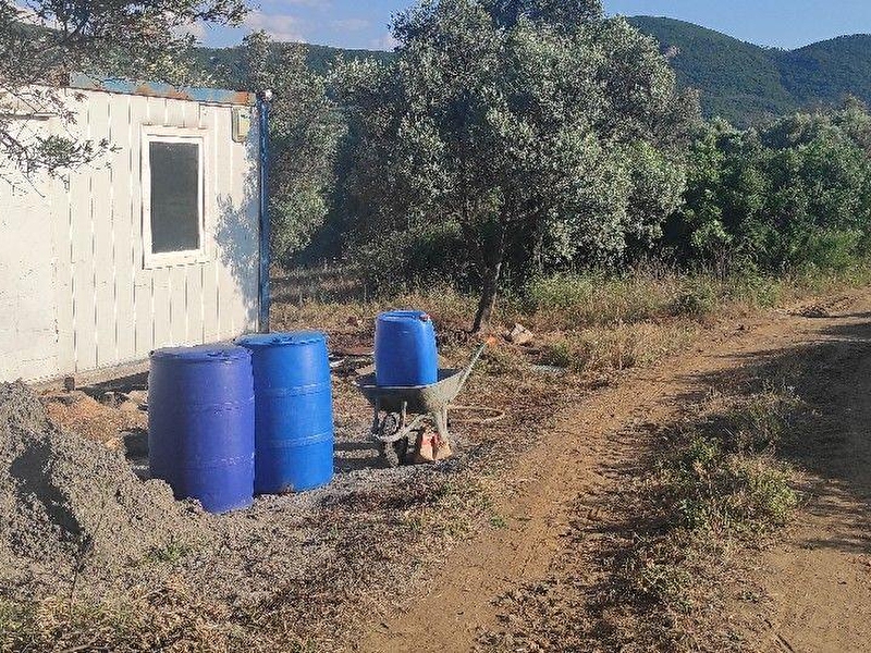 Mudanya adresse emlak'tan satılık zeytinlik