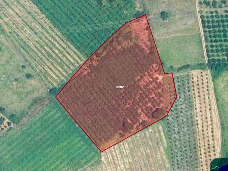Çinarcik kocadere köyü'nde 10.341 m² satilik arsa