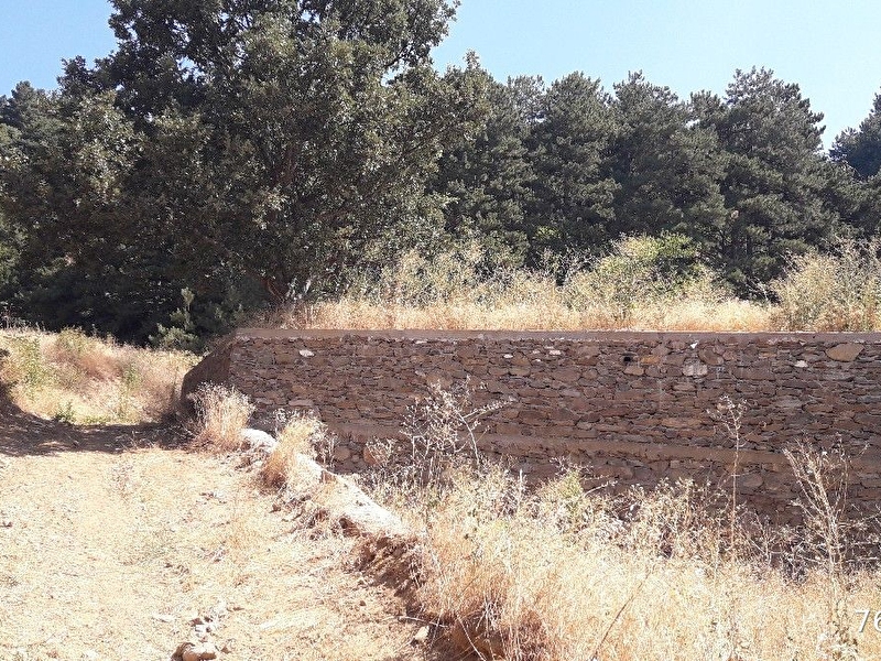Aymar'dan gölcük'te çarşi merkeze çok yakin manzarali 600'm2 bahçe