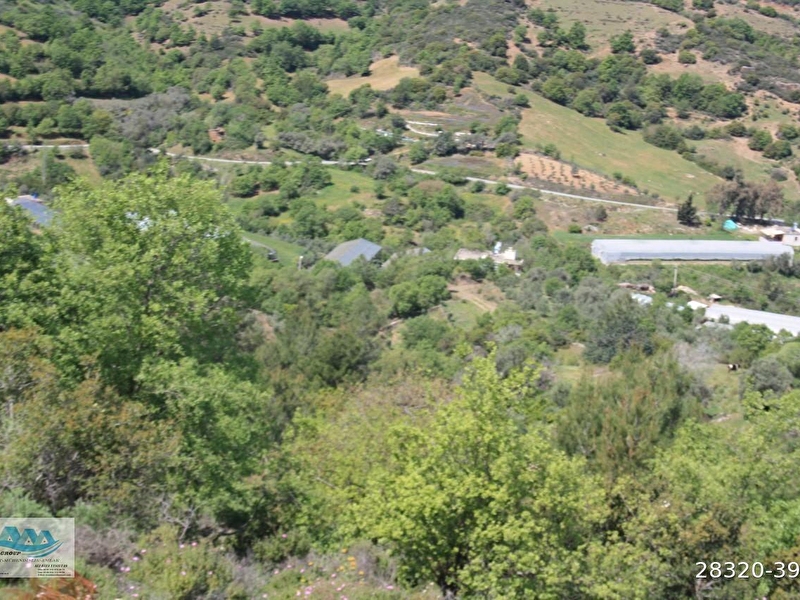 Gazi̇paşada satilik i̇marli arsa 1.136 m2 koru mahallesi̇nde