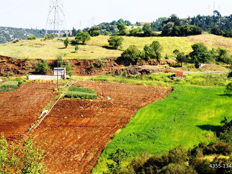 Çalköy yeni̇ce'de eşsi̇z doğa ve göl manzarali 7577m2 satilik arsa