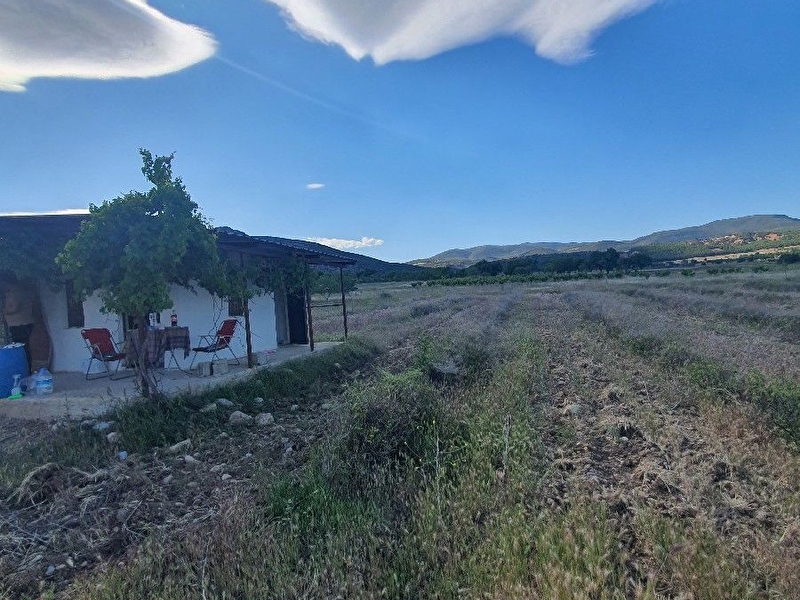 Isparta da  göl manzarali arazim olsun içindede ev olsun diyenlere harika fırsat 1796 m2 arazi̇