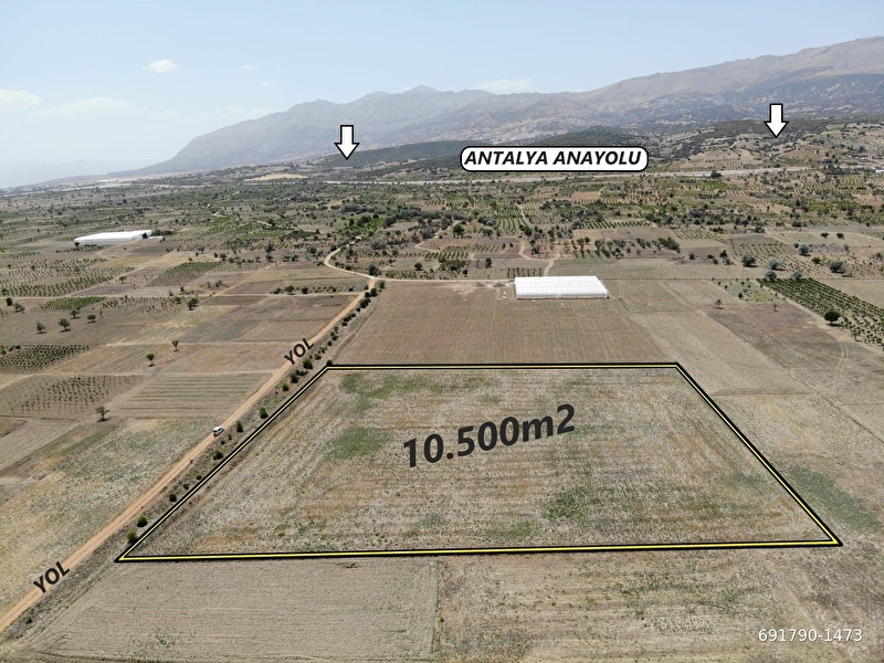 Antalya elmali gölova mahallesi̇nde yol cephe 10.500m2 satilik tarla