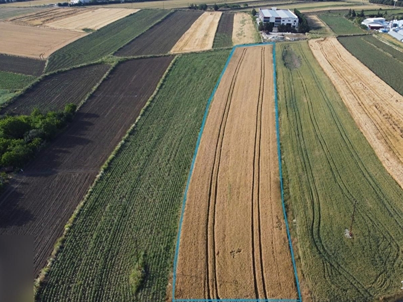 Si̇li̇vri̇ ali̇paşa mahallesi̇nde 8.790 m2 satilik tarla
