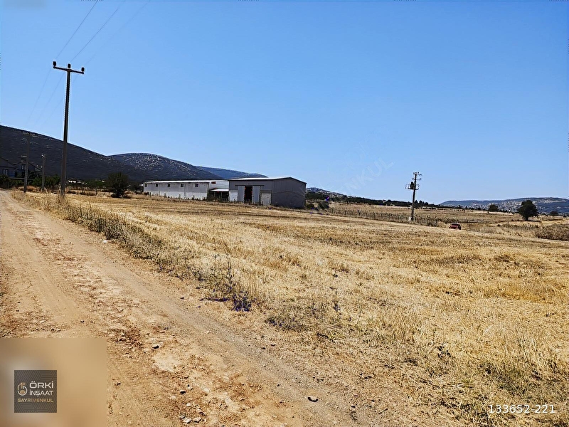 Muğla yoluna 150 metre mesafede 4920 m2
