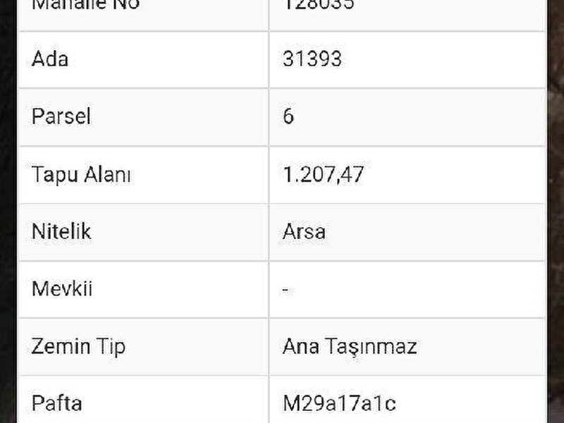 Tuva emlak (istiklal de arsa)