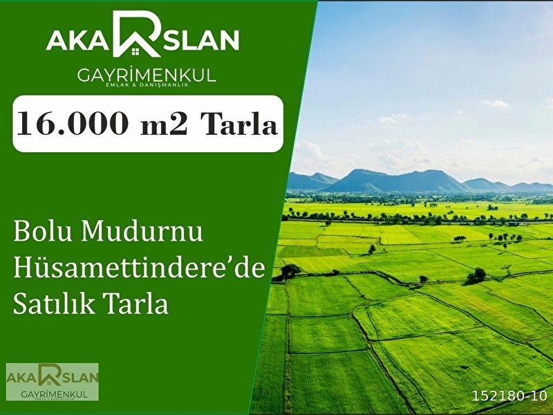 Bolu mudurnu hüsametti̇ndere'de satilik tarla