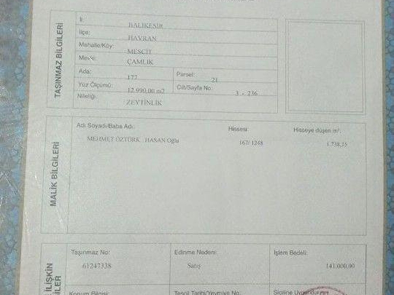 Öztürk oğlu inşaat emlak tan satılık zeytinlik havran