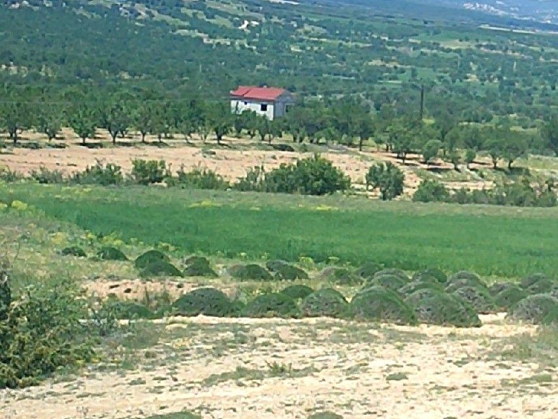 Isparta keçiborlu kılıç da 3575 m2 panaromik manzaraya hakim dümdüz tarla yatırıma uygun