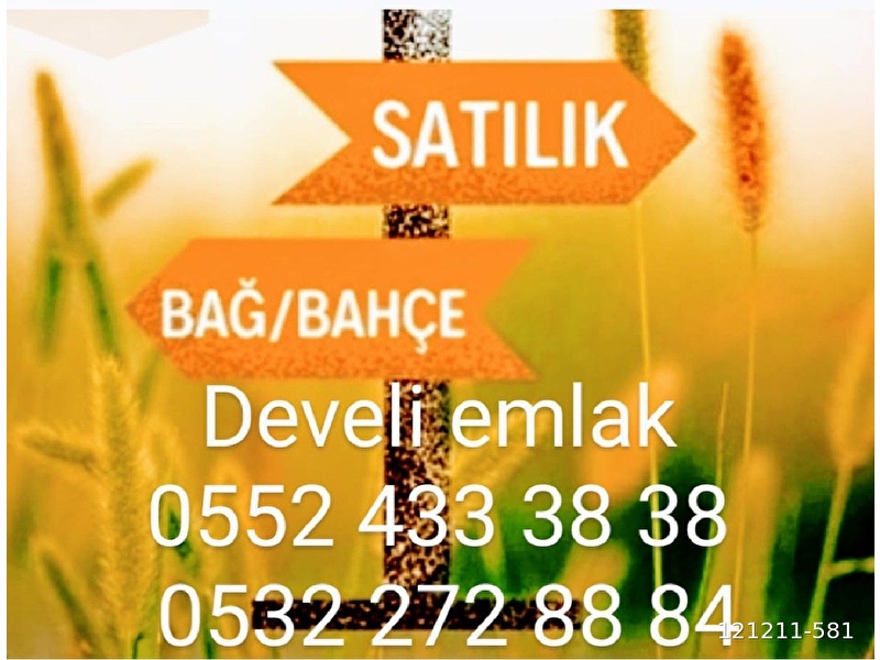 Develi̇ emlak tan saray hali karşisi su çikan da 1860 m2 bahçe elektri̇k su yol var  2.100.000 tl