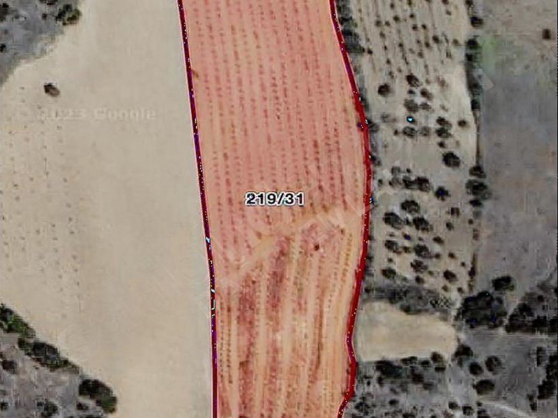 Dağci emlak buldan yeni̇cekent mah satilik 13075 m2 zeyti̇nli̇k