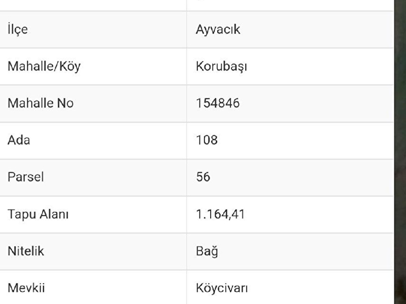 1164 metrekare 40/80 i̇marli arsa