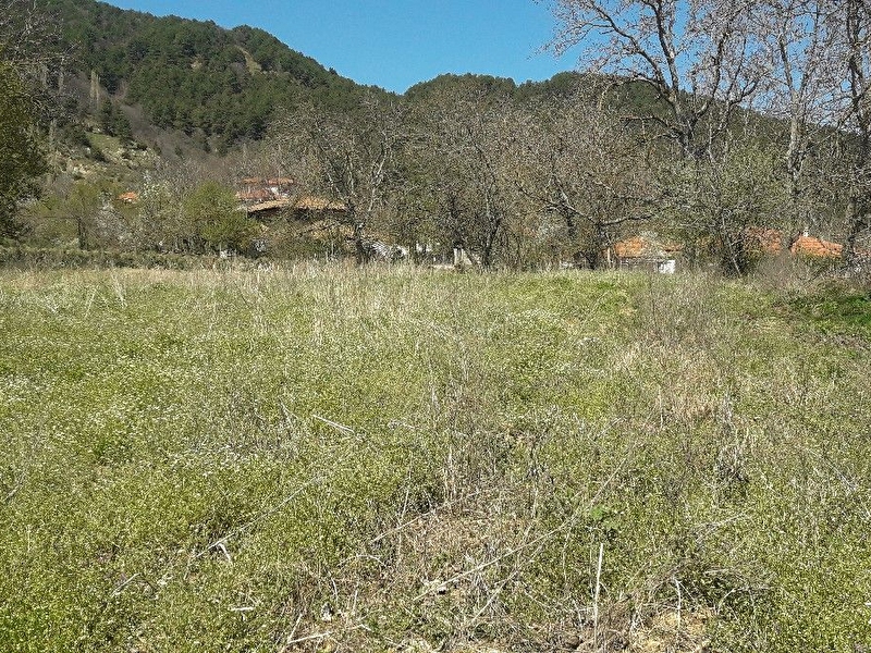 Ödemi̇ş gölcük gedi̇kyüzü mevki̇nde satilik 4800'm2 müstaki̇l evli̇ bahçe