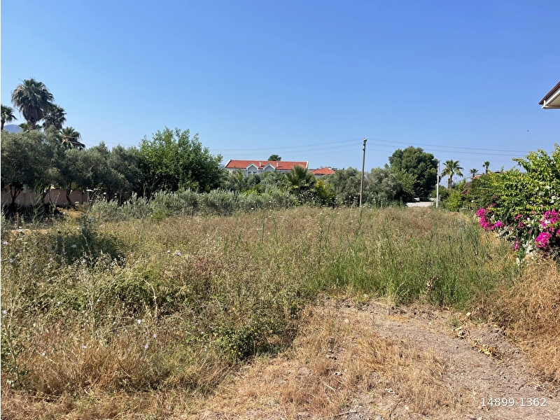Dalyan gülpınar 500m2 satılık arsa