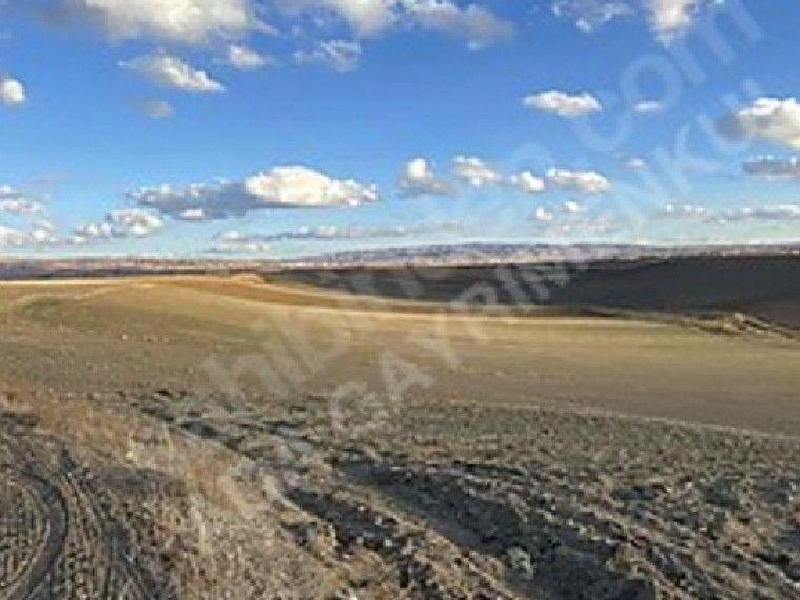 ????asi̇ye????emlak'tan  basri mah.'de satilik sulu tarla, 4000m2 hi̇sse tapulu, konum olarak e-90'a yakin
