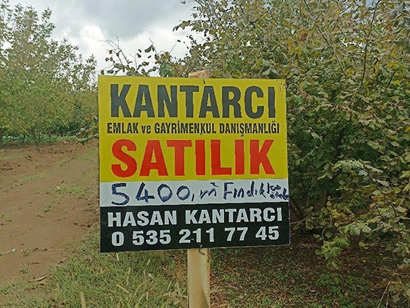 Sakarya serdivan çubuklu mah 5400m2 manzaralı fındık bah