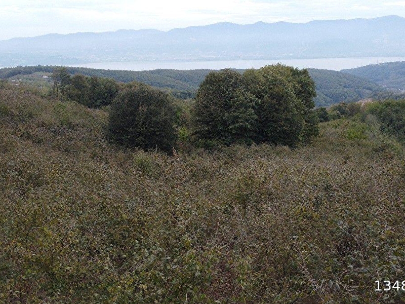 Serdi̇van aşağidereköyde sapanca gölü manzarali satilik arazi̇