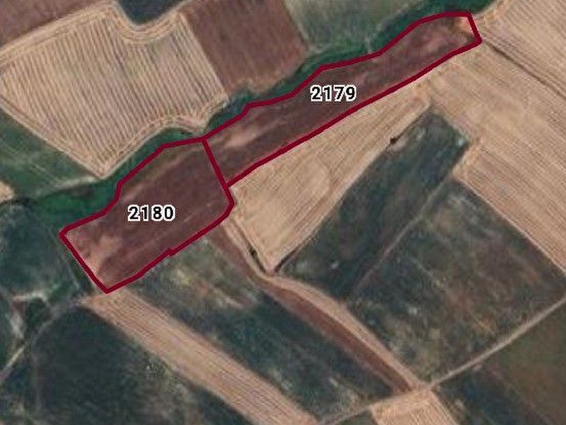 Acil satılık tarla turgutbey köyü